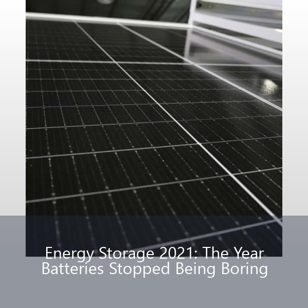 Energy Storage 2021: The Year Batteries Stopped Being Boring